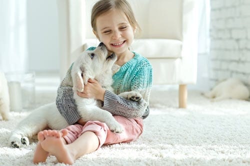 A young girl plays with a puppy on a white carpet