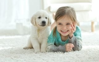 Service Area - Barrhaven